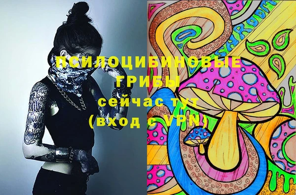 дмт Бугульма