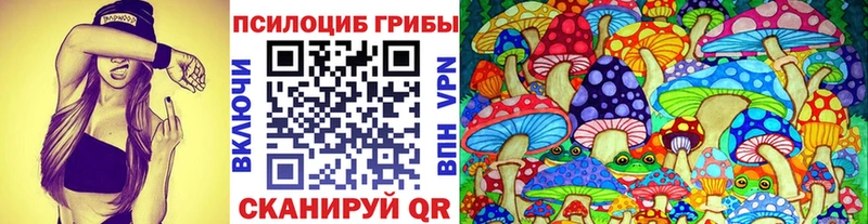 Галлюциногенные грибы мухоморы  mega ССЫЛКА  Карачаевск  цена наркотик 
