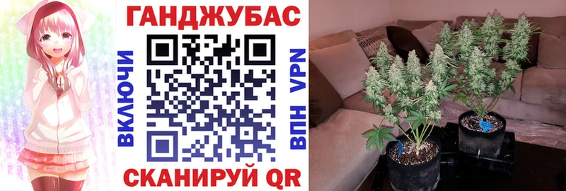 Каннабис ГИДРОПОН  Карачаевск 